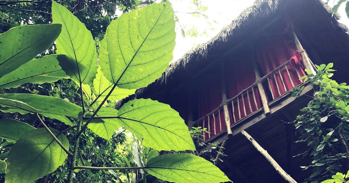 Dominican Republic Treehouse